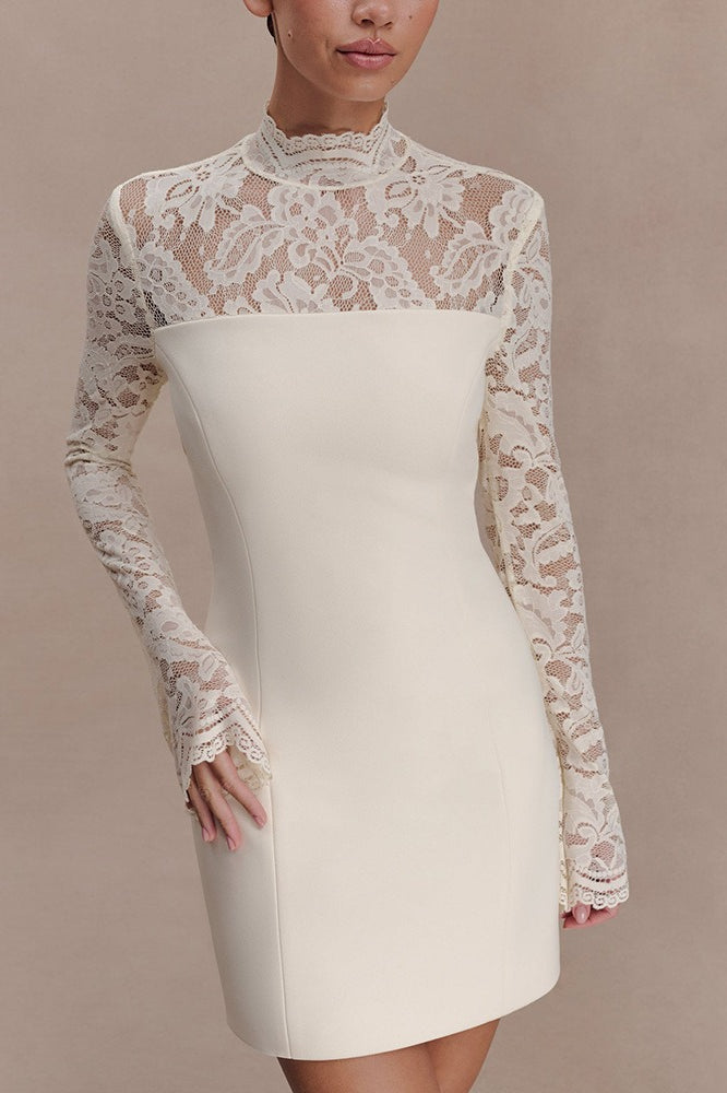 Strapless Lace Panel Sheer Backless Bodycon Lace Dress Main image