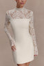 Strapless Lace Panel Sheer Backless Bodycon Lace Dress