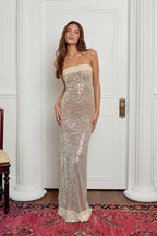 Strapless Sequin Bodycon Birthday Dress