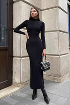 Knit Turtleneck Long Sleeve Bodycon Midi Dress