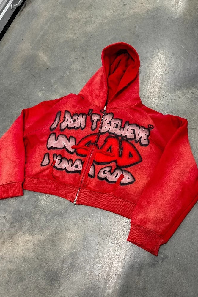 Statement Graphic Cropped Pullover Colorblock Hoodie