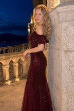 Off Shoulder Sequin Mesh Party Dress