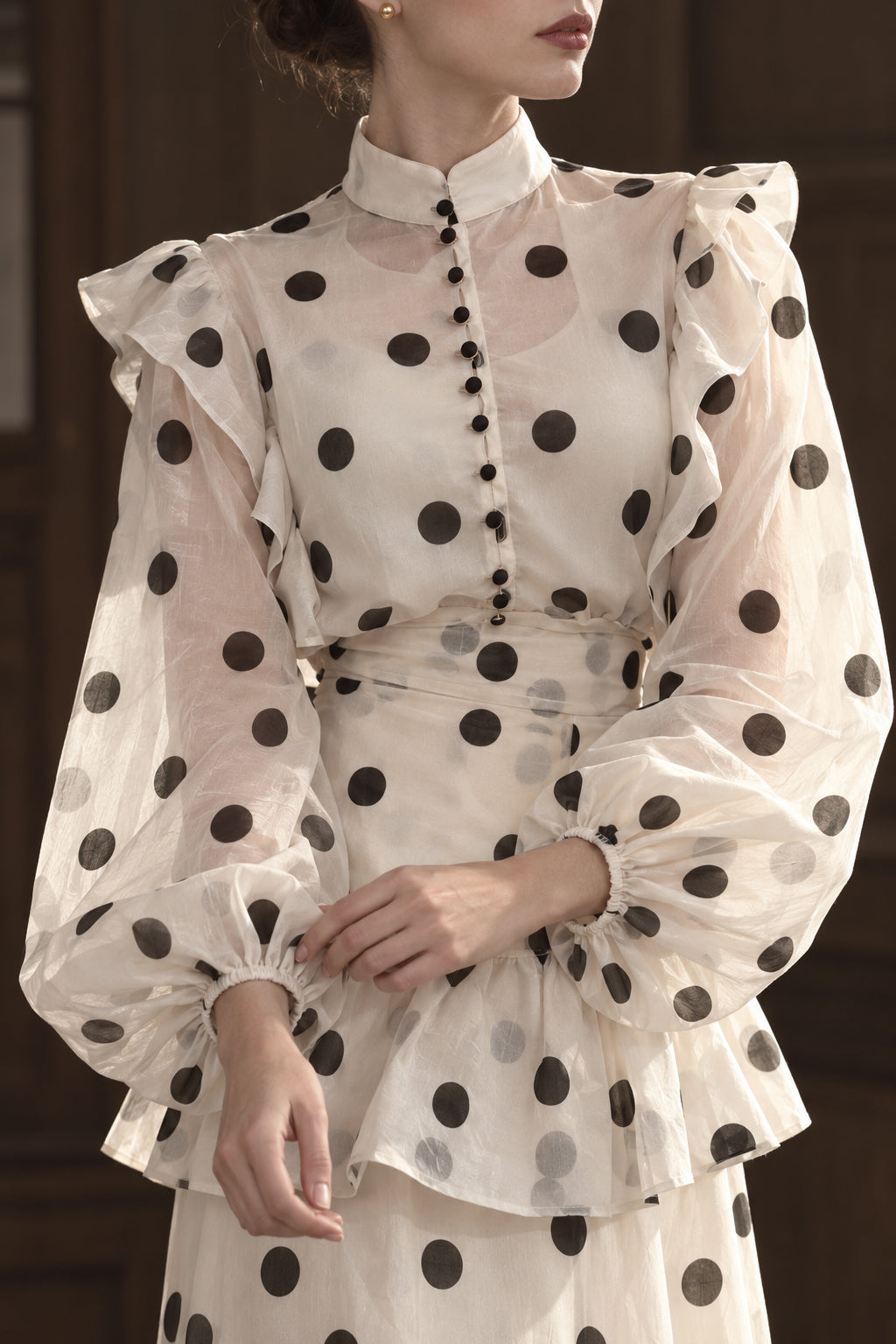 Sheer Polka Dot Long Sleeve Maxi Dress