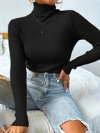 Turtleneck Ribbed Knit Sweater Black / S Sweaters