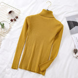 Women Turtelneck Casual Soft Slim Sweater